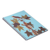 Audubon Traill's Flycatcher Songbird Notitieboek (Rechterzijde)