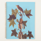Audubon Traill's Flycatcher Songbird Planner (Voorkant)