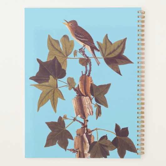 Audubon Traill's Flycatcher Songbird Planner (Achterkant)