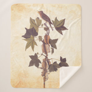 Audubon Traill's Flycatcher Songbird Sherpa Deken