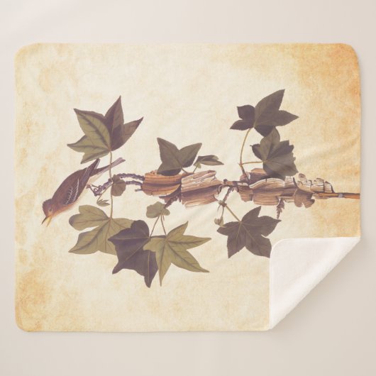 Audubon Traill's Flycatcher Songbird Sherpa Deken (Voorkant (horizontaal))