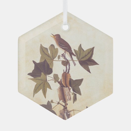 Audubon Trail's Flycatcher Bird Glas Ornament (Voorkant)