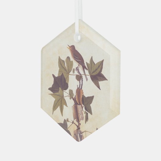Audubon Trail's Flycatcher Bird Glas Ornament (Voorkant links)