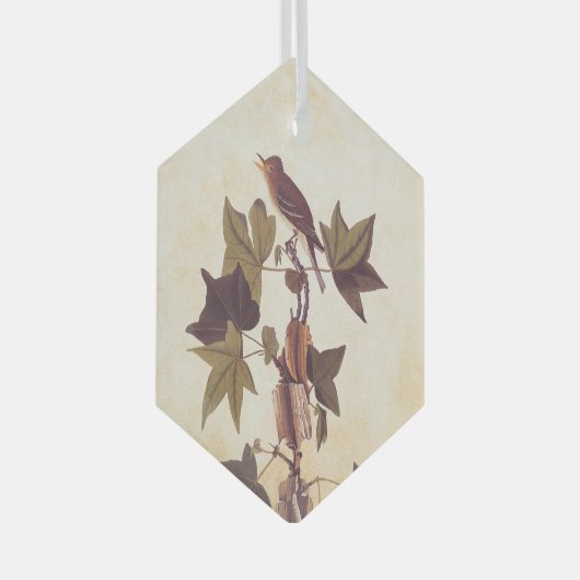 Audubon Trail's Flycatcher Bird Glas Ornament (Voorkant Rechts)