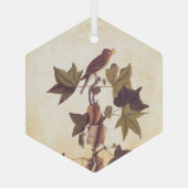 Audubon Trail's Flycatcher Bird Glas Ornament (Achterkant)