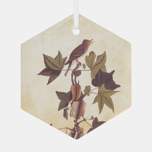Audubon Trail's Flycatcher Bird Glas Ornament (Achterkant)