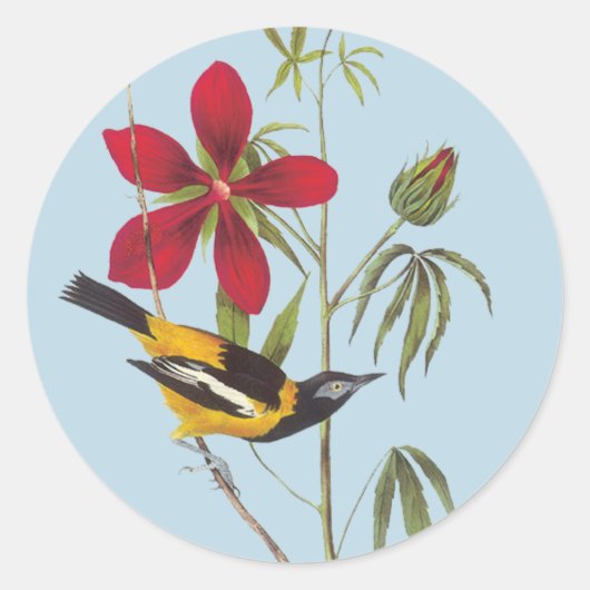 Audubon Troupial Bird Art Stickers (Voorkant)