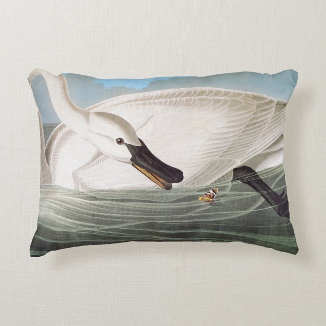 Audubon: Trumpeter Swan Accent Kussen (Voorkant)