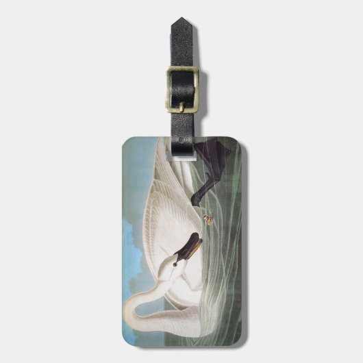 Audubon: Trumpeter Swan Bagagelabel (Voorkant verticaal)