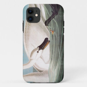 Audubon: Trumpeter Swan iPhone 11 Hoesje