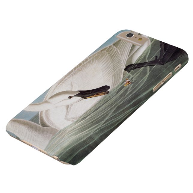 Audubon: Trumpeter Swan Case-Mate iPhone Case (Bovenkant)