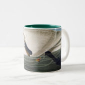 Audubon Trumpeter Swan Coffee Mok (Voorkant rechts)
