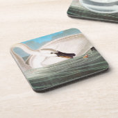 Audubon: Trumpeter Swan Drankjes Onderzetter (Linkerzijde)