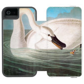 Audubon: Trumpeter Swan Incipio iPhone Portemonnee Hoesje (Agenda Open)