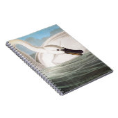 Audubon: Trumpeter Swan Notitieboek (Rechterzijde)