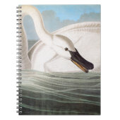 Audubon: Trumpeter Swan Notitieboek (Voorkant)