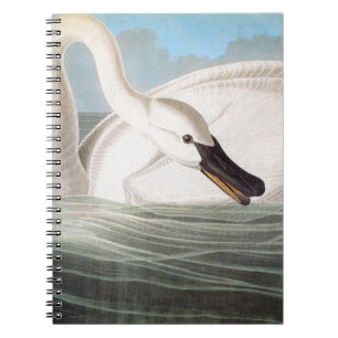 Audubon: Trumpeter Swan Notitieboek