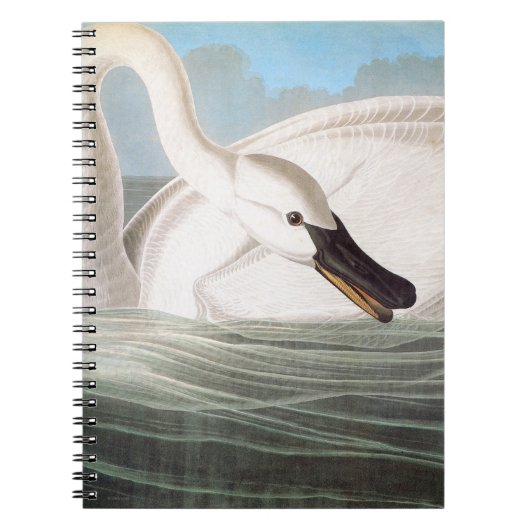 Audubon: Trumpeter Swan Notitieboek (Voorkant)