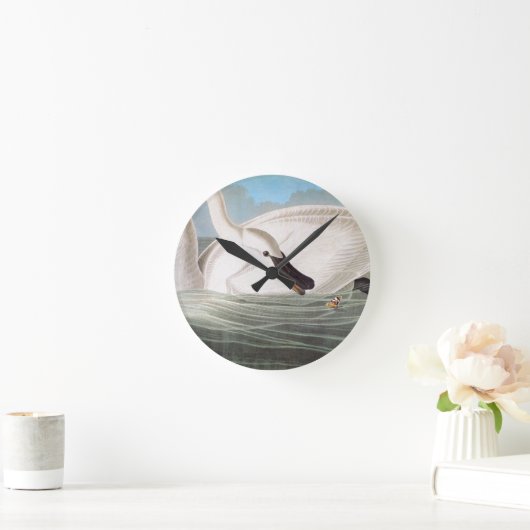 Audubon: Trumpeter Swan Ronde Klok (Huis)