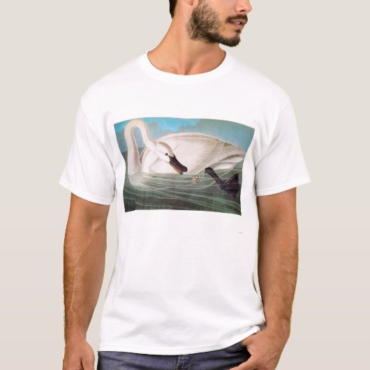 Audubon: Trumpeter Swan T-shirt (Voorkant)