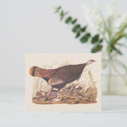 Audubon Turkey Hen and Chicken in herfst Briefkaart (Staand voorkant)