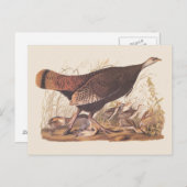 Audubon Turkey Hen and Chicken in herfst Briefkaart (Voorkant / Achterkant)