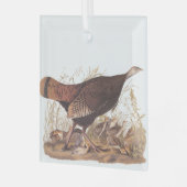 Audubon Turkey Hen and Chicken in herfst Glas Ornament (Voorkant links)