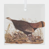 Audubon Turkey Hen and Chicken in herfst Glas Ornament (Achterkant)