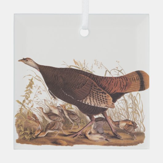 Audubon Turkey Hen and Chicken in herfst Glas Ornament (Achterkant)