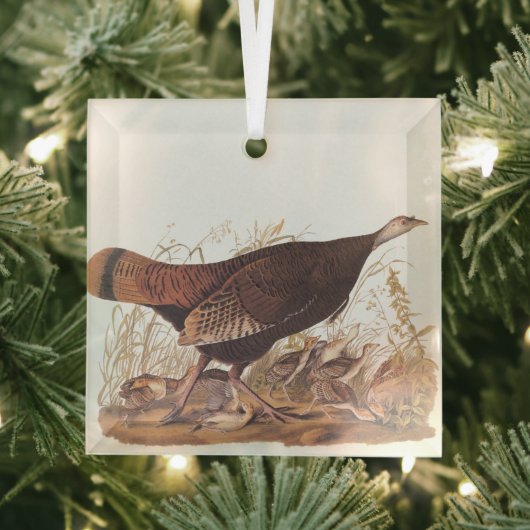 Audubon Turkey Hen and Chicken in herfst Glas Ornament (Insitu)