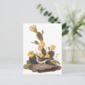 Audubon Vesper Sparrow en Prickly Pear Cactus Briefkaart (Staand voorkant)