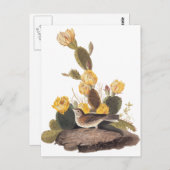 Audubon Vesper Sparrow en Prickly Pear Cactus Briefkaart (Voorkant / Achterkant)