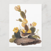 Audubon Vesper Sparrow en Prickly Pear Cactus Briefkaart (Voorkant)