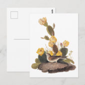 Audubon Vesper Sparrow en Prickly Pear Cactus Briefkaart (Voorkant / Achterkant)