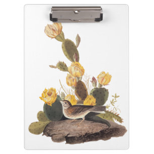 Audubon Vesper Sparrow en Prickly Pear Cactus Klembord