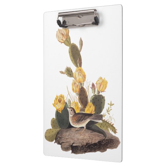 Audubon Vesper Sparrow en Prickly Pear Cactus Klembord (Links)