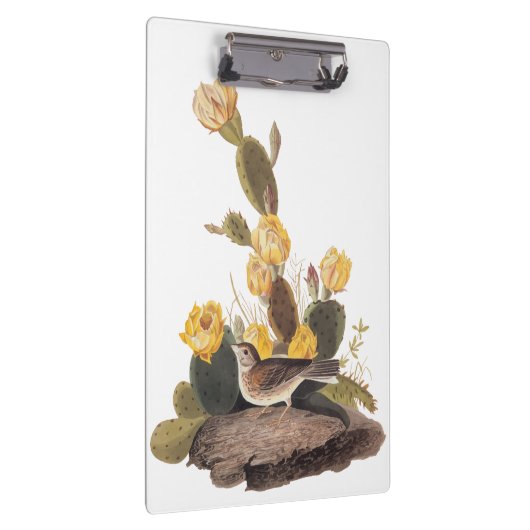 Audubon Vesper Sparrow en Prickly Pear Cactus Klembord (Rechts)