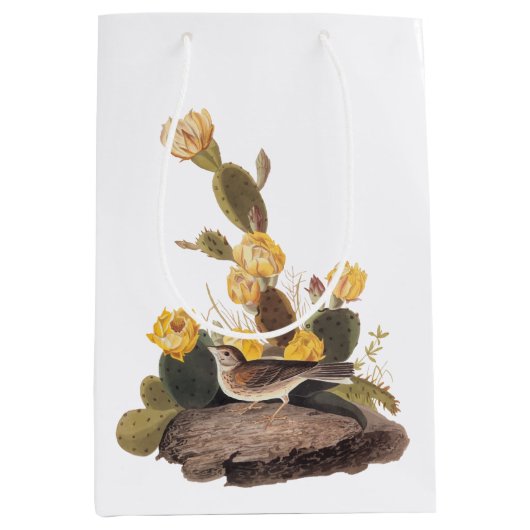 Audubon Vesper Sparrow en Prickly Pear Cactus Medium Cadeauzakje (Voorkant)