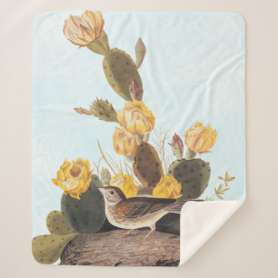 Audubon Vesper Sparrow en Prickly Pear Cactus Sherpa Deken