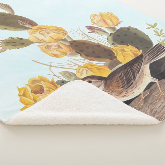 Audubon Vesper Sparrow en Prickly Pear Cactus Sherpa Deken (3/4)