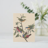 Audubon Vibrant Geschilderd Bunting Wildlife Paint Briefkaart (Staand voorkant)