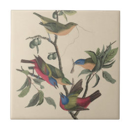Audubon Vibrant Geschilderd Bunting Wildlife Paint Tegeltje