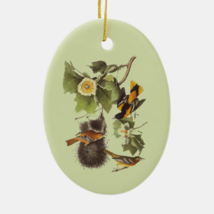 Audubon Vogels Troupial Vintage Kunst Keramisch Ornament
