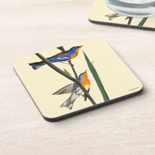 Audubon: Warbler Bier Onderzetter (Linkerzijde)