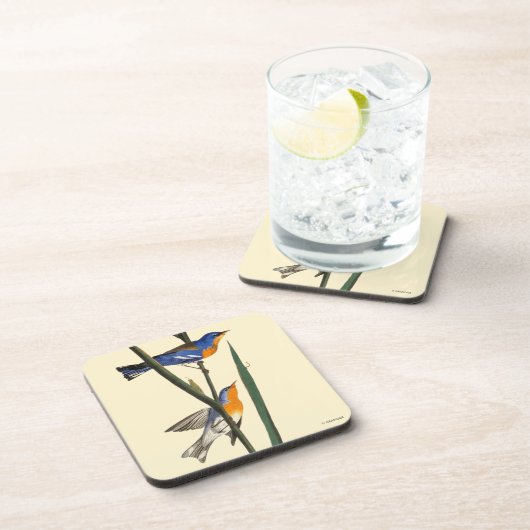 Audubon: Warbler Bier Onderzetter (Rechterzijde)