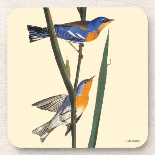 Audubon: Warbler Bier Onderzetter (Voorkant)