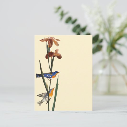 Audubon: Warbler Briefkaart (Staand voorkant)