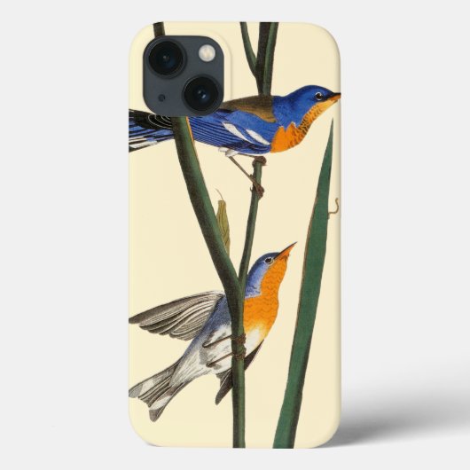 Audubon: Warbler Case-Mate iPhone Case (Achterkant)