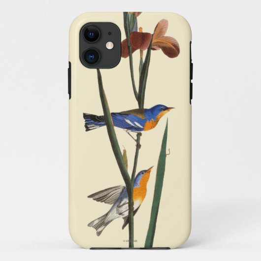 Audubon: Warbler Case-Mate iPhone Case (Achterkant)