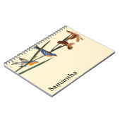 Audubon: Warbler Notitieboek (Linkerzijde)